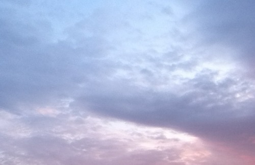 cutiepaws:pretty sky from the other day ♡