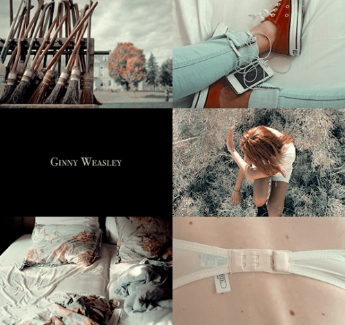 ibuzoo:Harry Potter Meme - @hp-moods​ & @ibuzoo​ [5/10 Dumbledore’s Army Members] - Ginny Weas