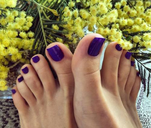 myfavoritetoes