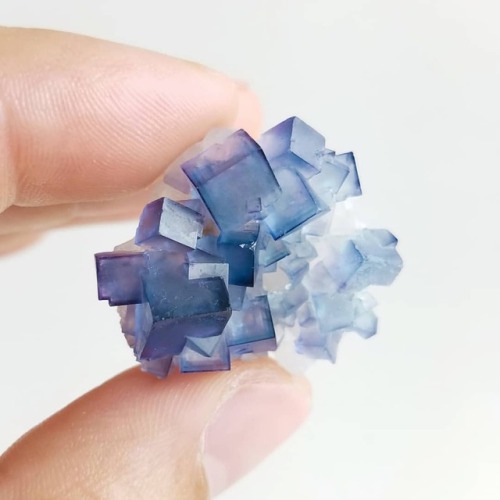 Here&rsquo;s another blue fluorite cluster heading to the shop later today. Follow the link in m