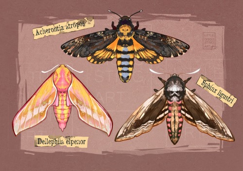 Last Moth Panels Featuring Some Favest Of My Faves
