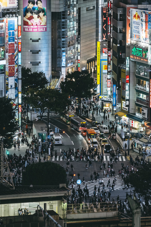 Shibuya, Tokyo       Instagram / Facebook / Twitter