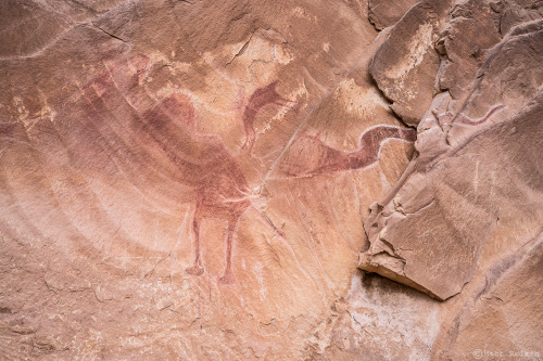BD Pictographs, Emery County, UT. A great and somewhat frustrating site containing prime examples of