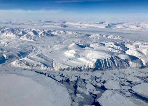 Seaice along the coast of Ellesmere Island (Canada).