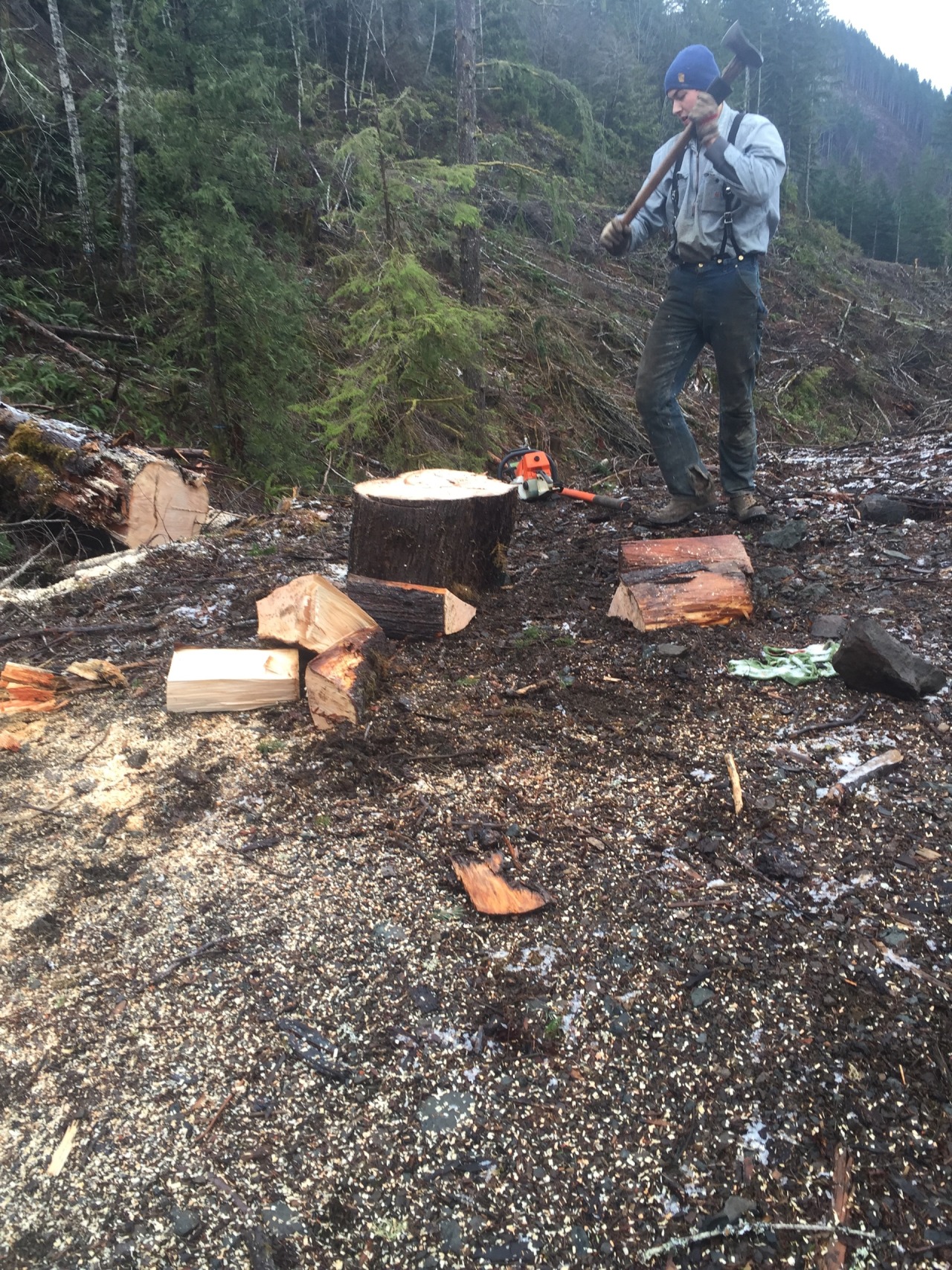 Little firewood adventure , loving my pnw life. Who doesn&rsquo;t love a man