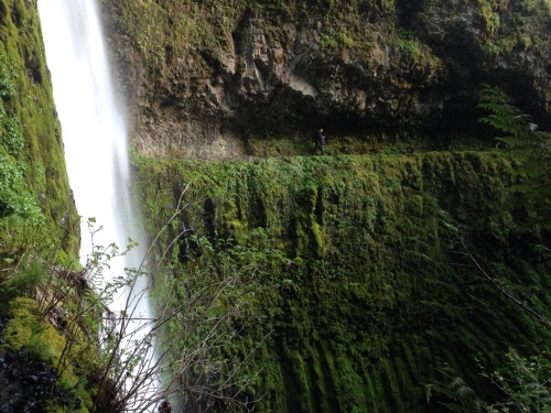 glumshoe:Columbia River Gorge, Oregon