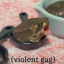 what-the-quaxk