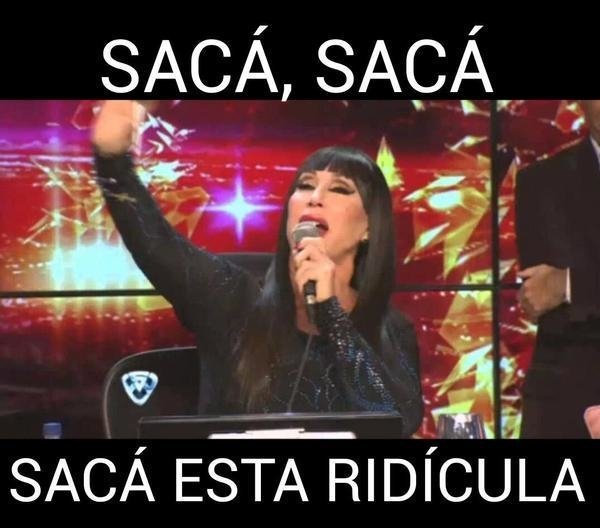 “No podes ser criaturita si no te gustan los gatos”