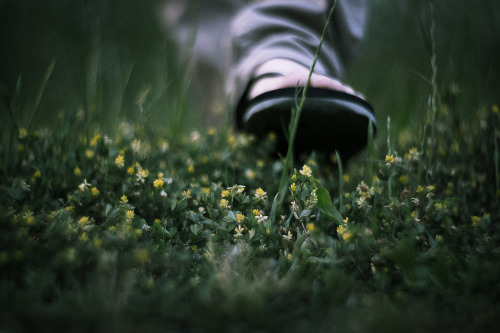 Only Natureby Koichi ITO