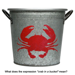 lavendermuseums:  lavenderpoetrycafe:   Best Answer:  When you have a bucket of live crab, they’re all scrambling in chaos. If one crab climbs its way to the top of the bucket to escape the rest, the others will pull it back down.  If you have friends