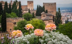daughter-of-castile:  La Alhambra, Granada,