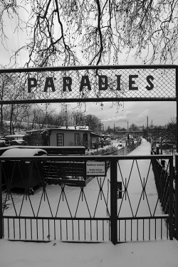 eastberliner:  Greetz from “paradise” , eastberlin 2013 