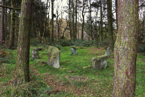 Doll Tor Stone Circle in Autumn, Derbyshire, 26.10.17. Returned today and it seemed very Autumnal; l