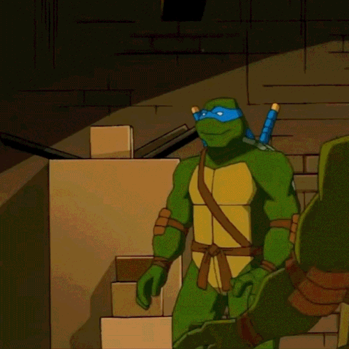 TMNT 2003 Dynamics: Leonardo And April ONeil