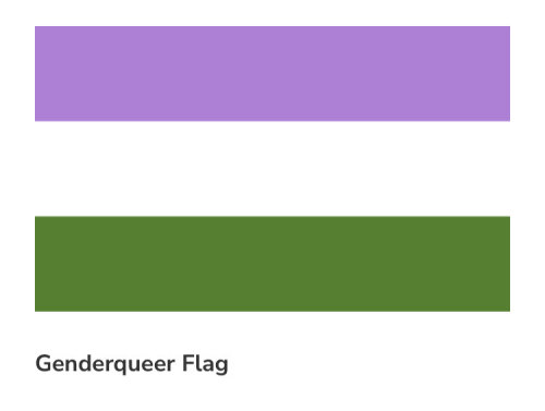 Someone On Discord Pointed Out That Bowie's Bag Has The Genderqueer Flag On It
