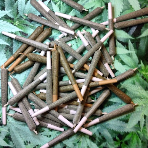 $1 joints are back in stock! 