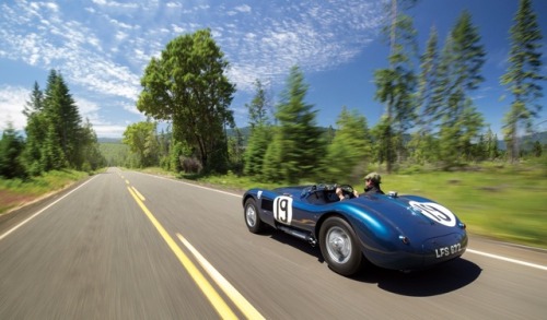 Fonte : www.1zoom.me - Jaguar 1951 C -TypeMotion_477097Posted tinamotta.tumblr.com