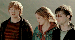 harrypotterdailly: Do not pity the dead, Harry. Pity the living and above all, those