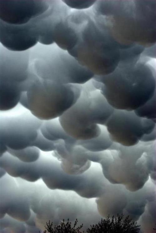 Mammatus clouds are formed when cold upper air sinks downward, forming pouches under the cloud layer