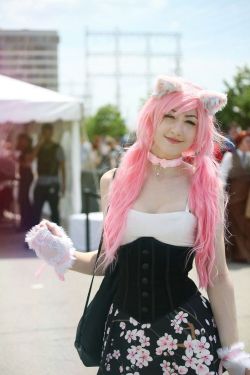 seeyou-upsidedown:  Found some decent photos of me in my kittensplaypen things at AN :3