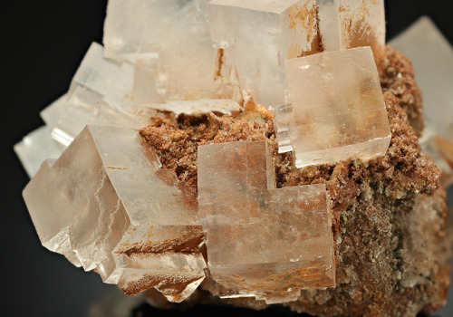 Excellent Specimen of Colorless Halite Locality: Inowrocław, Kuyavia-Pomerania, PolandSize: 9.0 × 9.