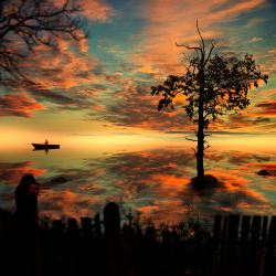 agoodthinghappened:   My Little Warm Backyard by Caras Lonut 