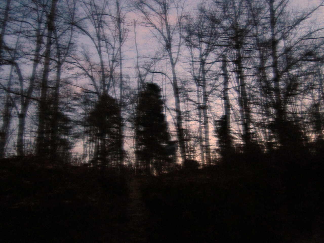 honestsleepers:  if i lay here on these old wooden floors i will rot away with dead