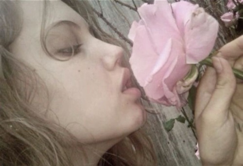 Angels Kiss In Spring