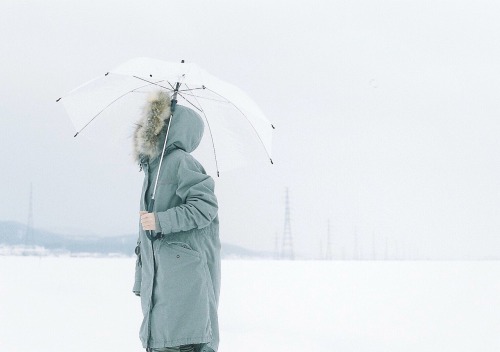 今日は雨☂