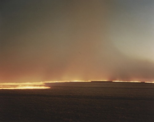 moma-a-day:  Desert Fire #249, by Richard Misrach, 1985
