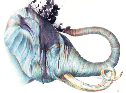 lohrien:  Illustrations by Brandon Keehner
