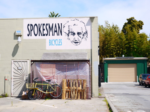 suzebooze:  found this dude in Santa Cruz