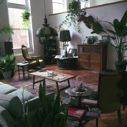 theewhitewitch:Tweeking the living room as always. @jason.w.blake has a habit of bringing home plant