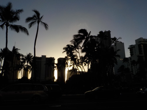 kuhio ave