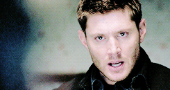 Beautiful loser