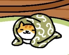 reblog if you support the warm cat