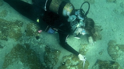 sixpenceee:  Massive Bronze-Age City Discovered Underwater in GreeceIn 2014, archaeologists from the University of Geneva were conducting dive-training exercises off Lambayanna Beach in Greece’s Kiladha Bay when they spotted some intriguing pottery