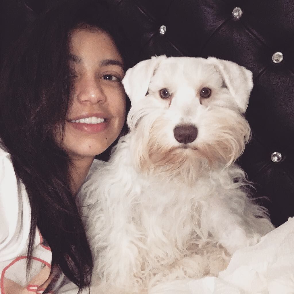 Being lazy with Ghost 👻❤️🐾🐾😇 by teamvrod