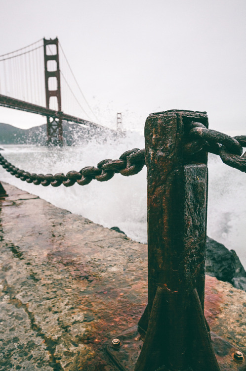 radivs:  Untitled by Garin  Wood