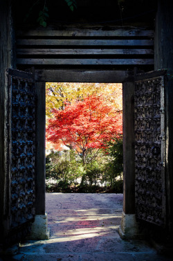 ileftmyheartintokyo:  紅葉 - 富士五湖 by Sparkling World on Flickr. 