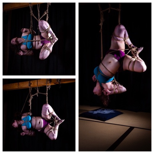 NOVA Nawa 7/19 - tengu transitions in cobbler pose with bounddoll_.(IG) Kinbaku/ photo: me.