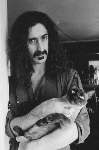 punlovsin: Frank Zappa . 