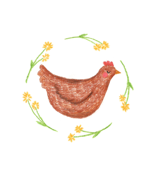 ash-elizabeth-art: Animal Art April day 10: a cheery chicken 