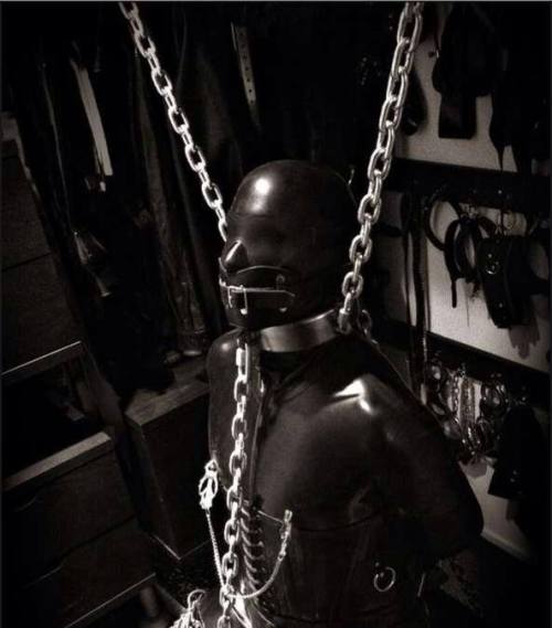 Many thanks for this amazing post. I’m crazy about male domination and bondage.