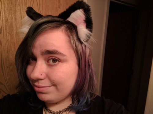 smolestkittenprincess: My ears from @kittensplaypenshop came in today!!! I feel so cute and precious