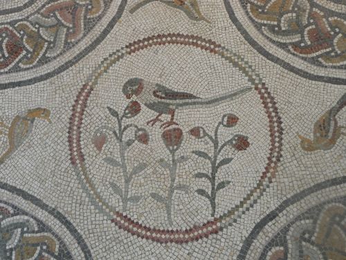 romegreeceart:Palazzo Massimo - Bird mosaics * Rome, Porta Ardeatina* 3rd century CERome, July 2015A