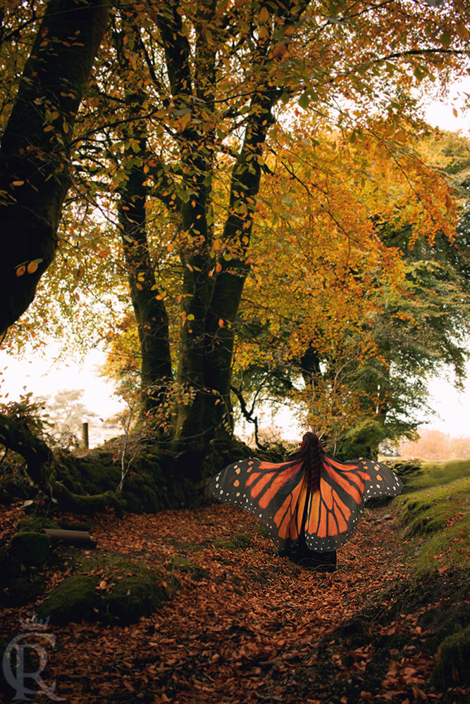 culturenlifestyle:Stunning Conceptual Scarves Emulate Butterfly Wings  Born to a