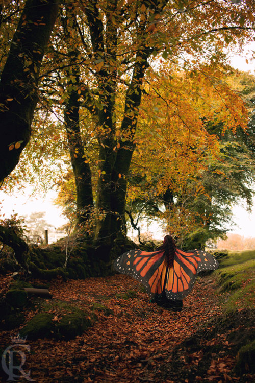 culturenlifestyle:Stunning Conceptual Scarves Emulate Butterfly Wings  Born to a family of seamstresses, costume designer for theater, movies, opera and TV and fairy tale lover Alassie runs El Costurero Real (The Royal Tailor), an online shop based in