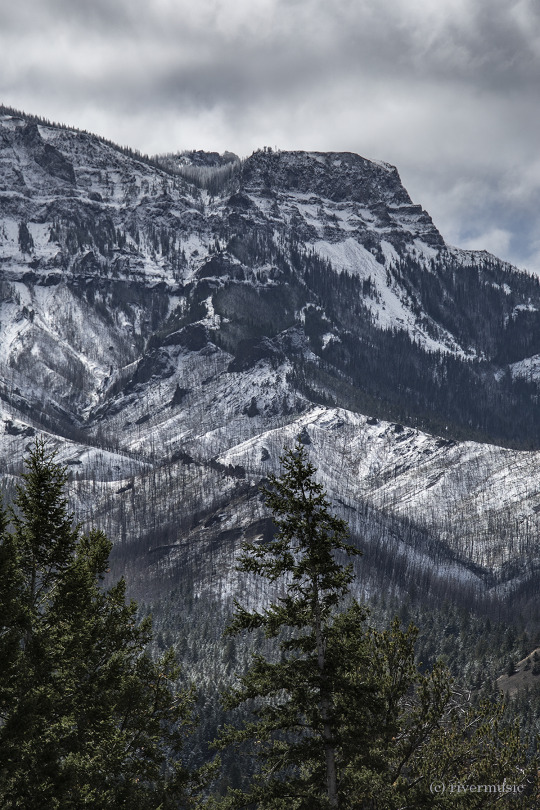 Fresh snow on the ramparts, Absaroka Mountains, Wyoming: (c) riverwindphotography, September 2020
