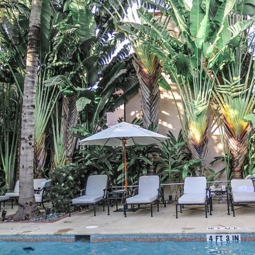 condenasttraveler:  The gorgeous pool and palm trees at the Brazilian Court hotel in Palm Beach, FL, are making us say #takemethere. Photo by @zioandsons #palmbeach #myweekendescape 